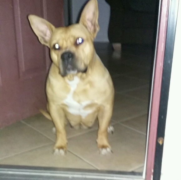 Meet your Posher, Peter - Picture 1 of 1